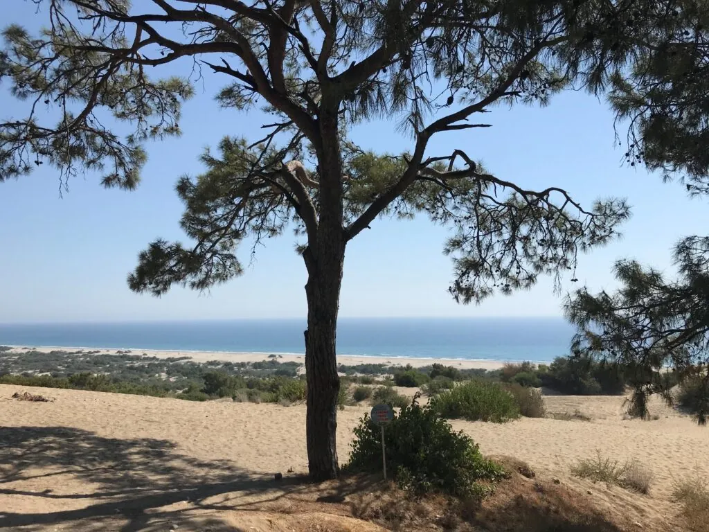 Patara-Sanddünen
