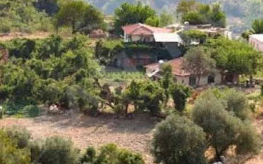 Dorf İslamlar