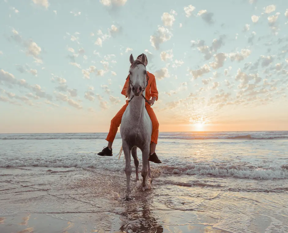 Reiten